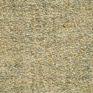 Flora 2_226  Kvadrat